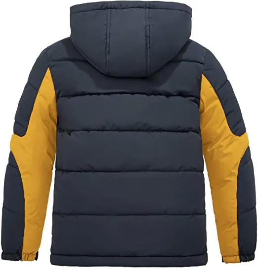 Men’s Hooded Padded Jacket — Navy & Gold — Navy & Gold, back view